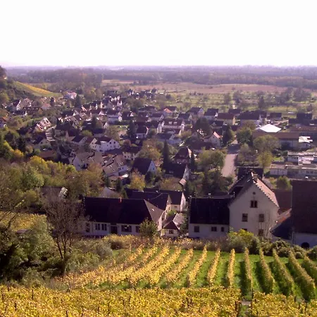 Lägenhet Bigi Efringen-Kirchen